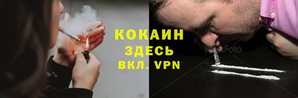 шишки Баксан