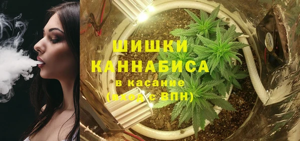 шишки Баксан