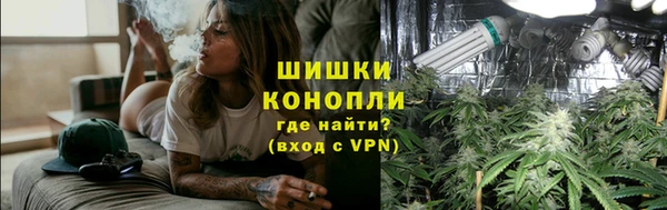 шишки Баксан