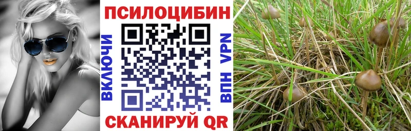 Галлюциногенные грибы Psilocybe  Купить  Рузаевка 